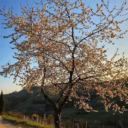 Hotel Panoramic Garassino - Country And Fine Restaurant