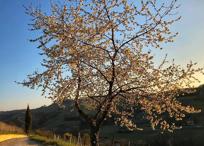 מלון Panoramic Garassino - Country And Fine Restaurant